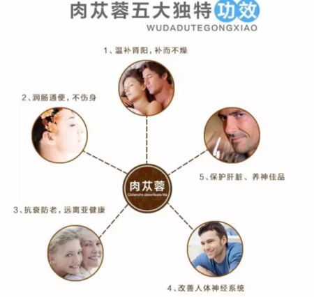 肉苁蓉的功效与作用