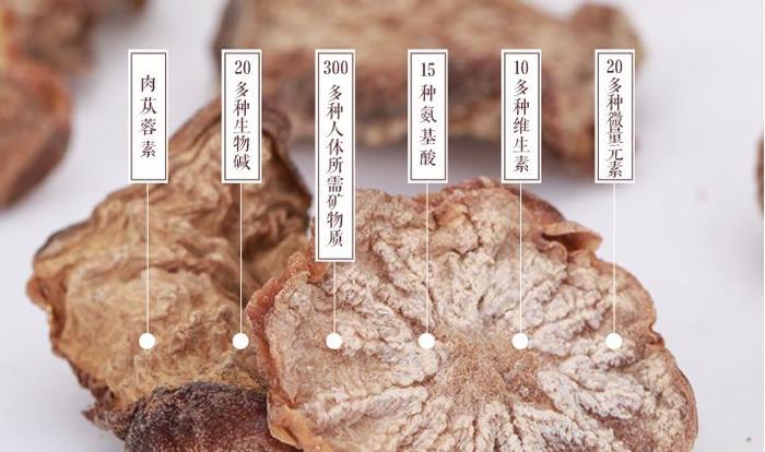 新疆肉苁蓉多糖提取的试验方法