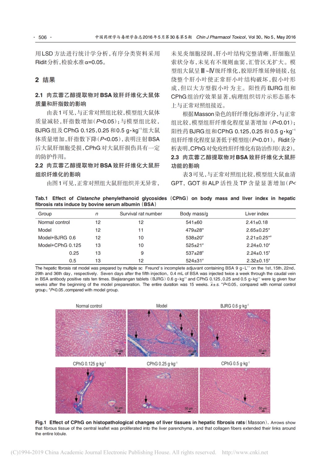 肉苁蓉乙醇提取物抗大鼠免疫性肝纤维化的作用及其机制_由淑萍_02.png
